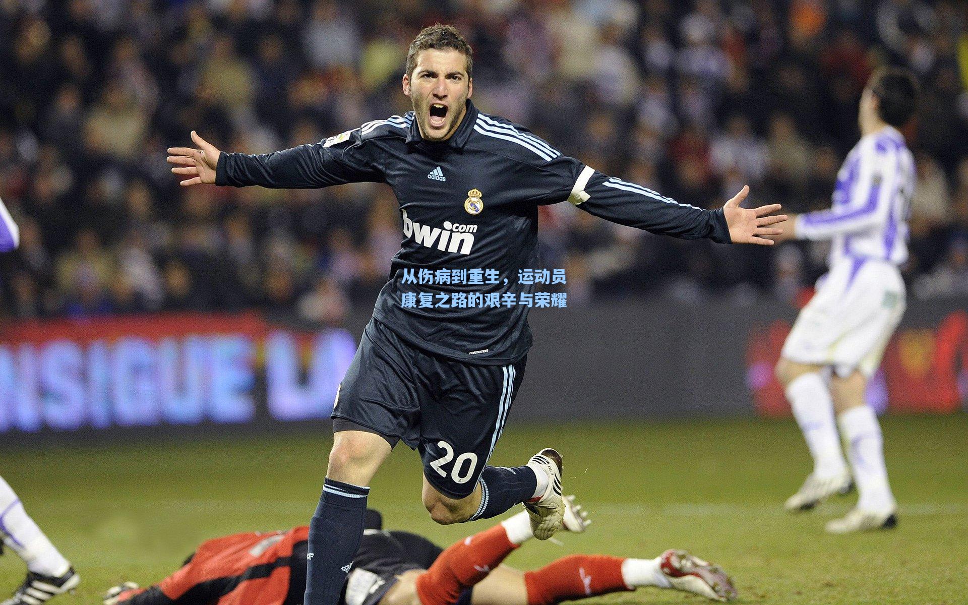 从伤病到重生，运动员康复之路的艰辛与荣耀